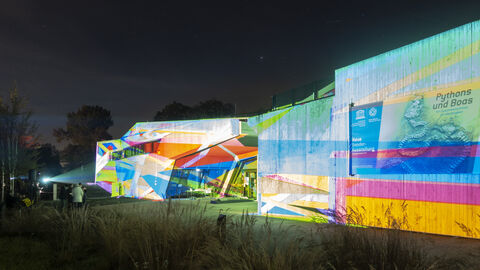 „Flashlines“ Grube Messel 