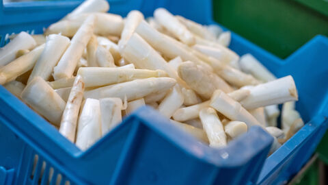 Nahaufnahme Spargel in blauem Korb