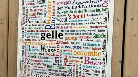Der 21. Februar ist der Internationale Tag der Muttersprache. In Hessen werden traditionell rheinfränkische Mundarten des Westmitteldeutschen gesprochen. Nur der äußerste Osten Hessens gehört zum ostmitteldeutsch-thüringischen, der äußerste Norden und Nordwesten zum niederdeutschen Dialektraum.